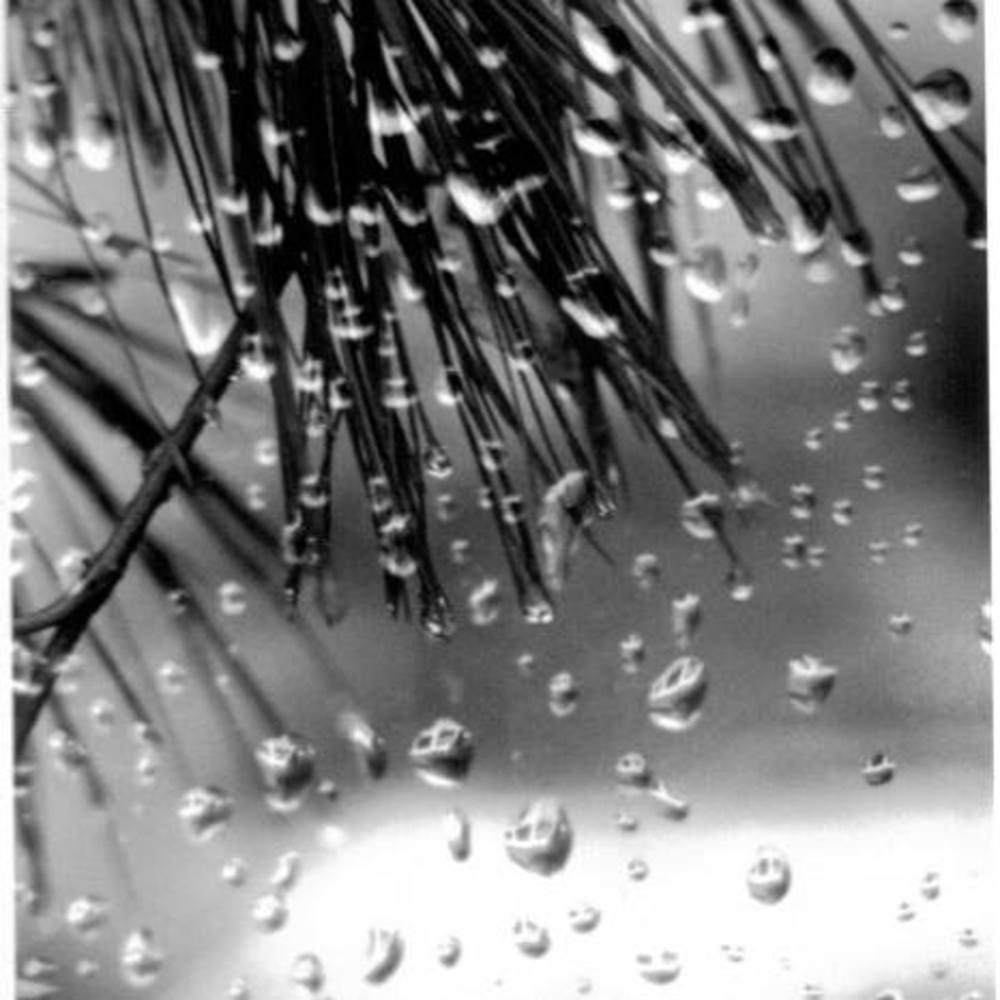 Meet your Posher, Kyla